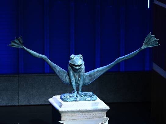 Giant Bronze Frog Statue