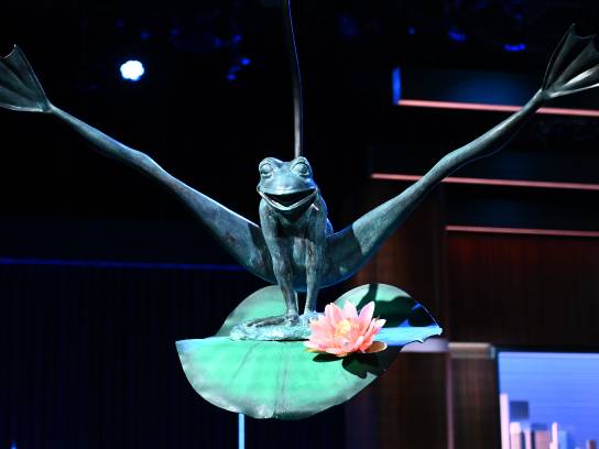 Giant Bronze Frog Statue